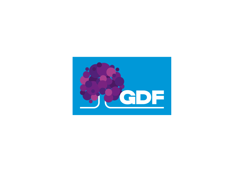 Governo do Distrito Federal